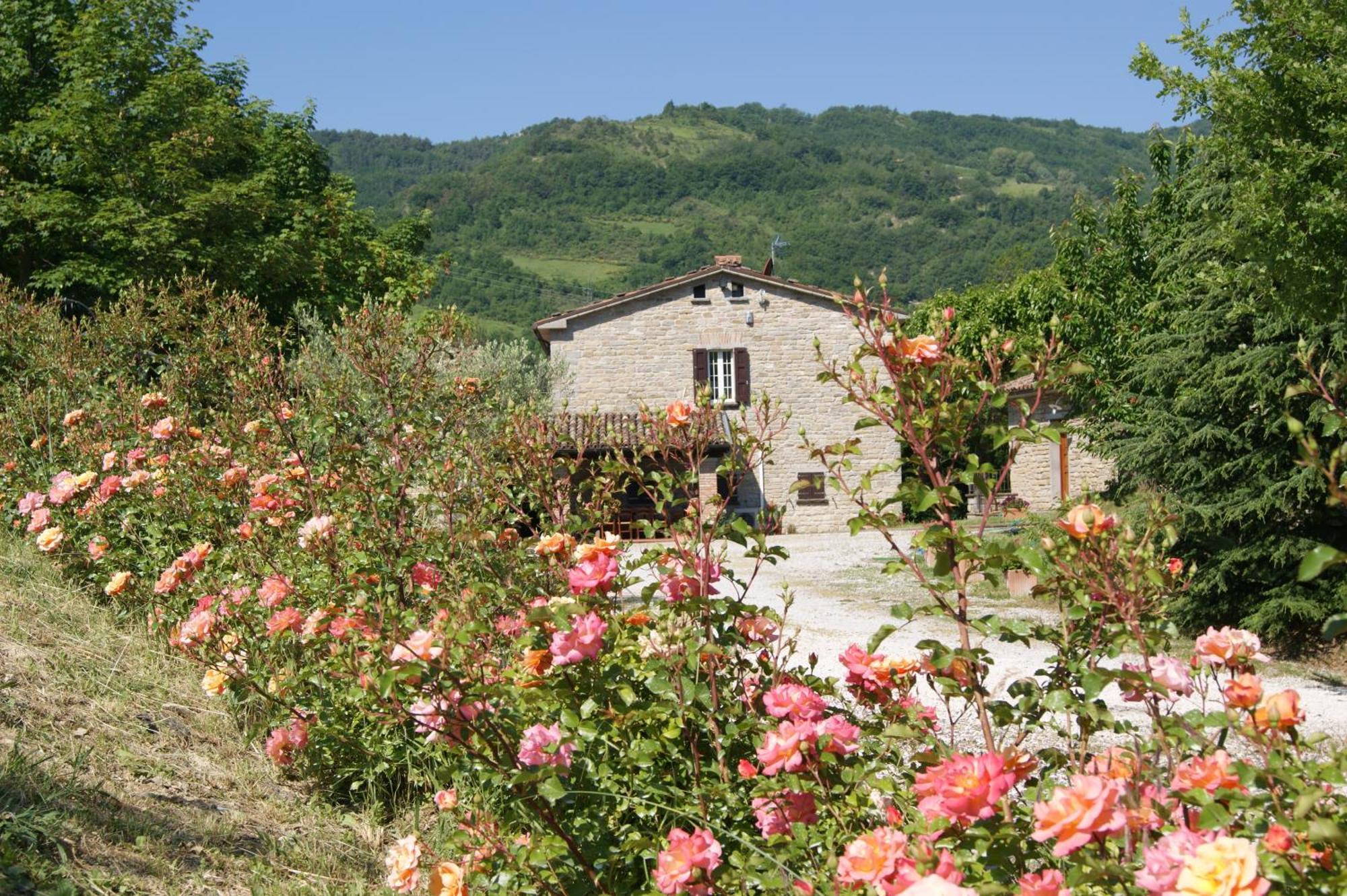 Agriturismo Corte Dei Mori Бризигелла Экстерьер фото